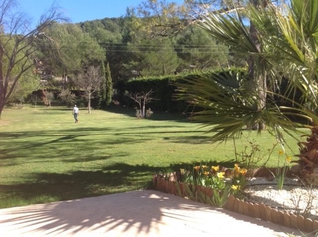 jardin vu de la terasse