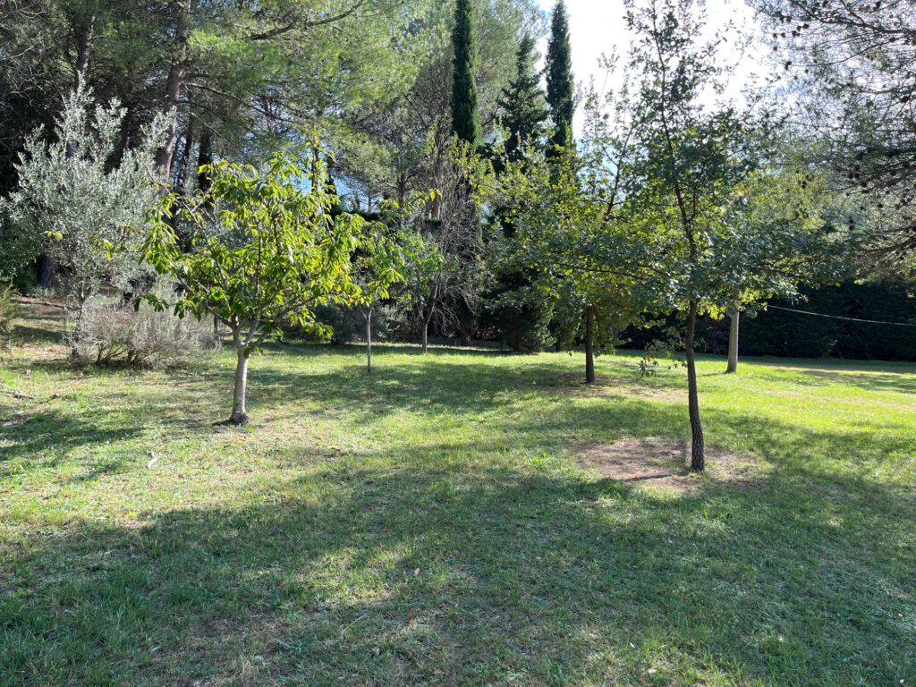 arbres fruitiers et oliviers