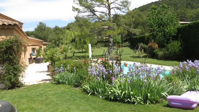 massif fleur et piscine